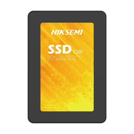 HS-SSD-C100