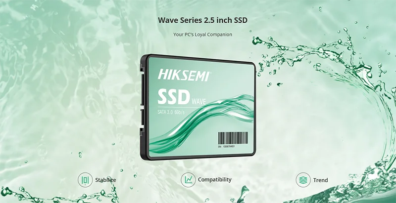حافظه SSD اینترنال هایک سمی WAVE (S) ظرفیت 256 گیگابایت